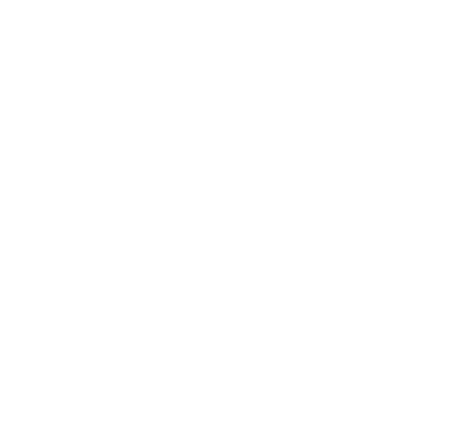 17th Street logo